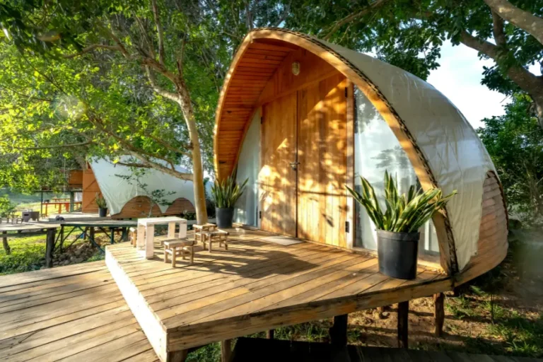 mental health wellness retreat